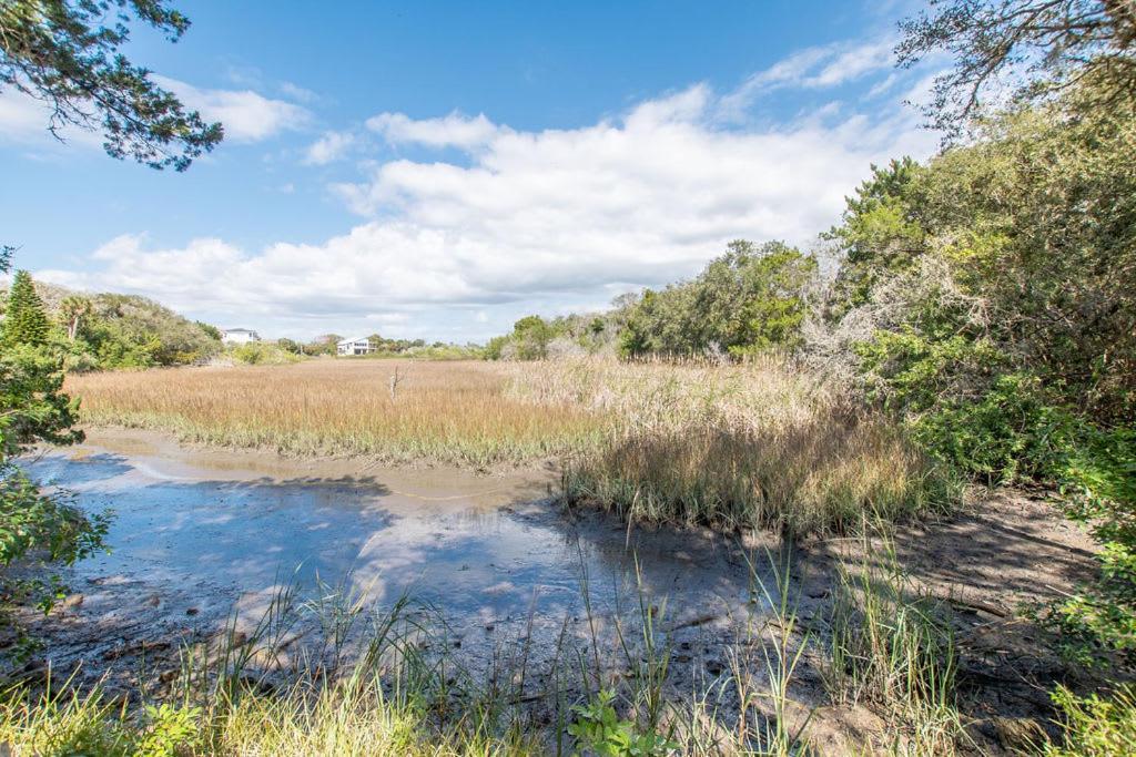 Marsh Front Birders Paradise Close To Beaches And Downtown Villa St. Augustine Exterior photo